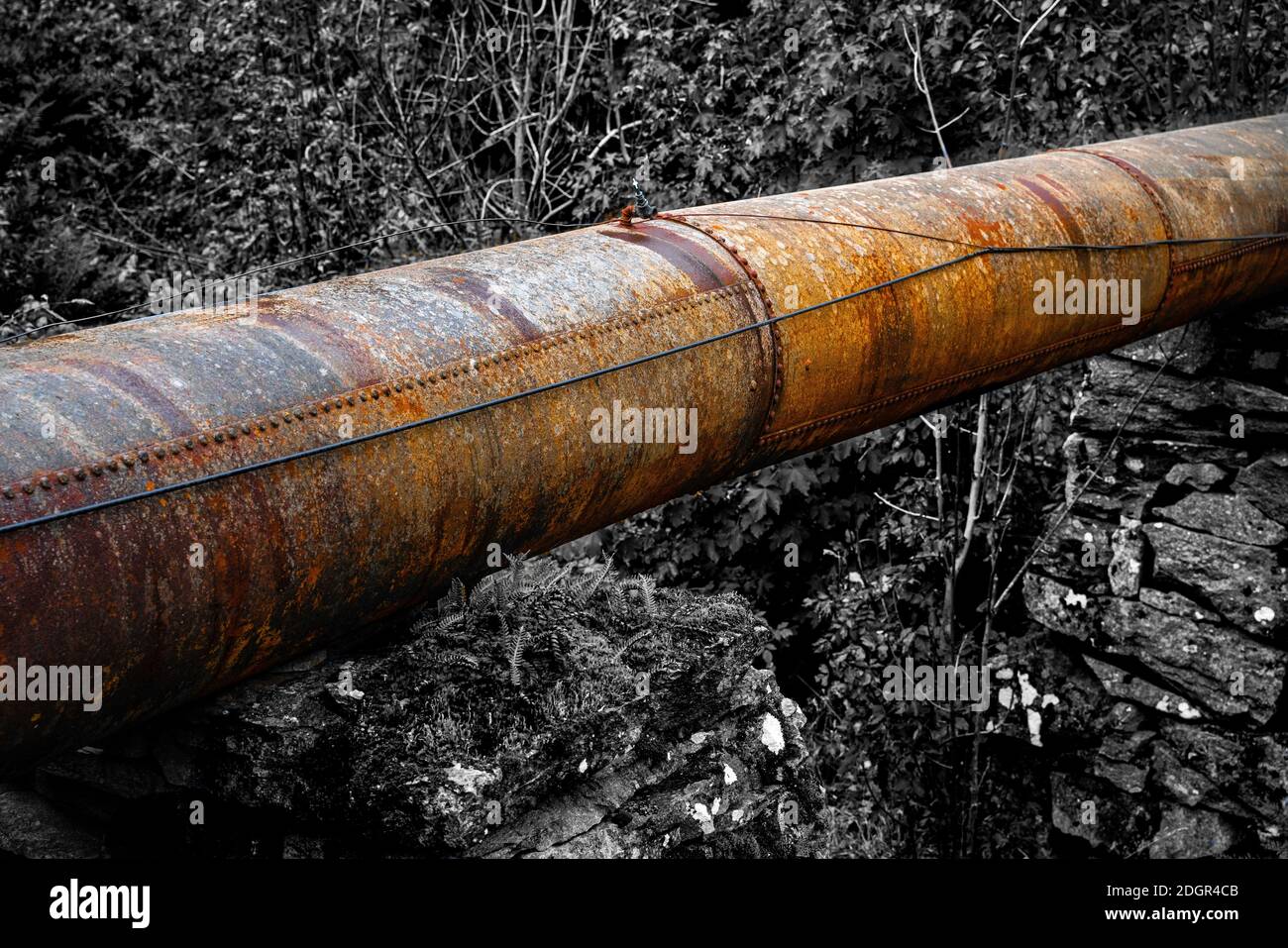 Large rusted and old industrial pipeline running through rough nature.  Stock Photo