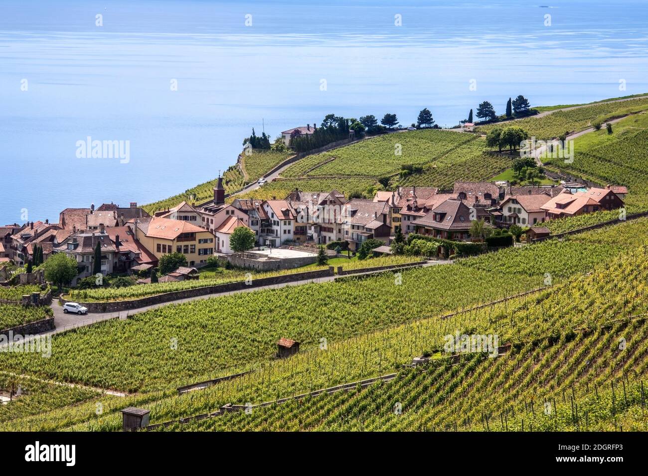 Vineyards and the village of St Saphorin in the north shore of Lake Geneva in the La Cote wine producing area of the Vaud canton of Switzerland. Stock Photo