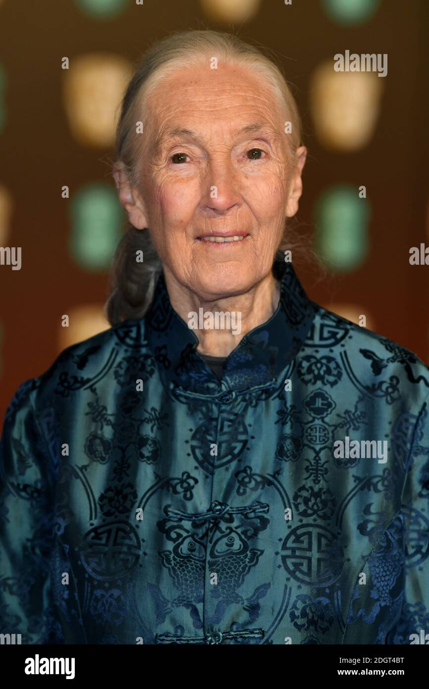 Dame Jane Goodall attending the EE British Academy of Film awards ...