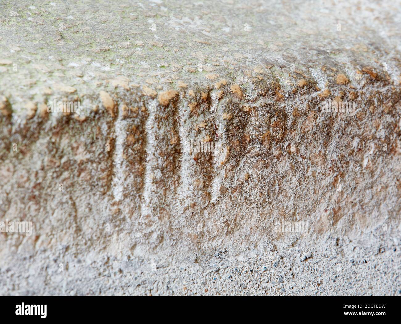Celtic Ogham script carved onto the Maglocunus stone, St. Brynach's Church in Nevern, Pembrokeshire, Wales, UK Stock Photo