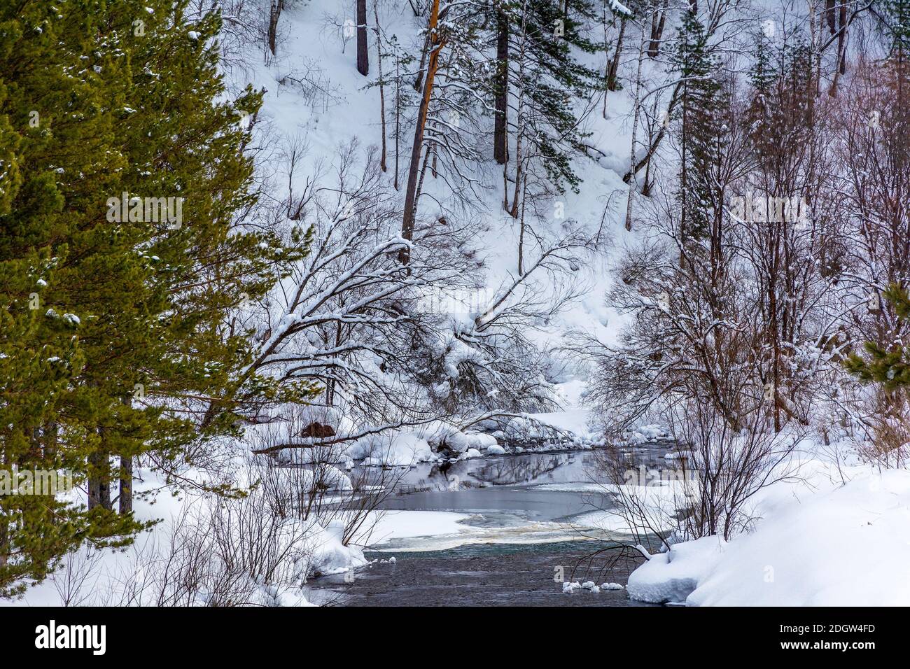 River Bolshaya Podikova, Kemerovo region - Kuzbass Stock Photo