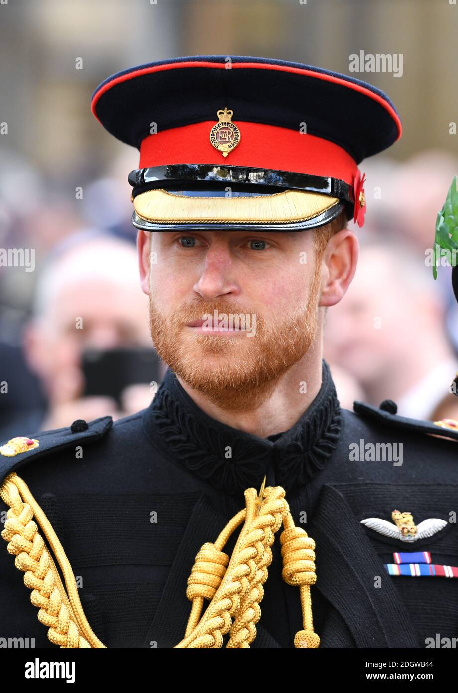 The Duke of Sussex visits the Field of Remembrance at Westminster Abbey, which has been organised by the Poppy Factory and held in the grounds of Westminster Abbey since November 1928.Photo credit should read: Doug Peters/EMPICS Stock Photo