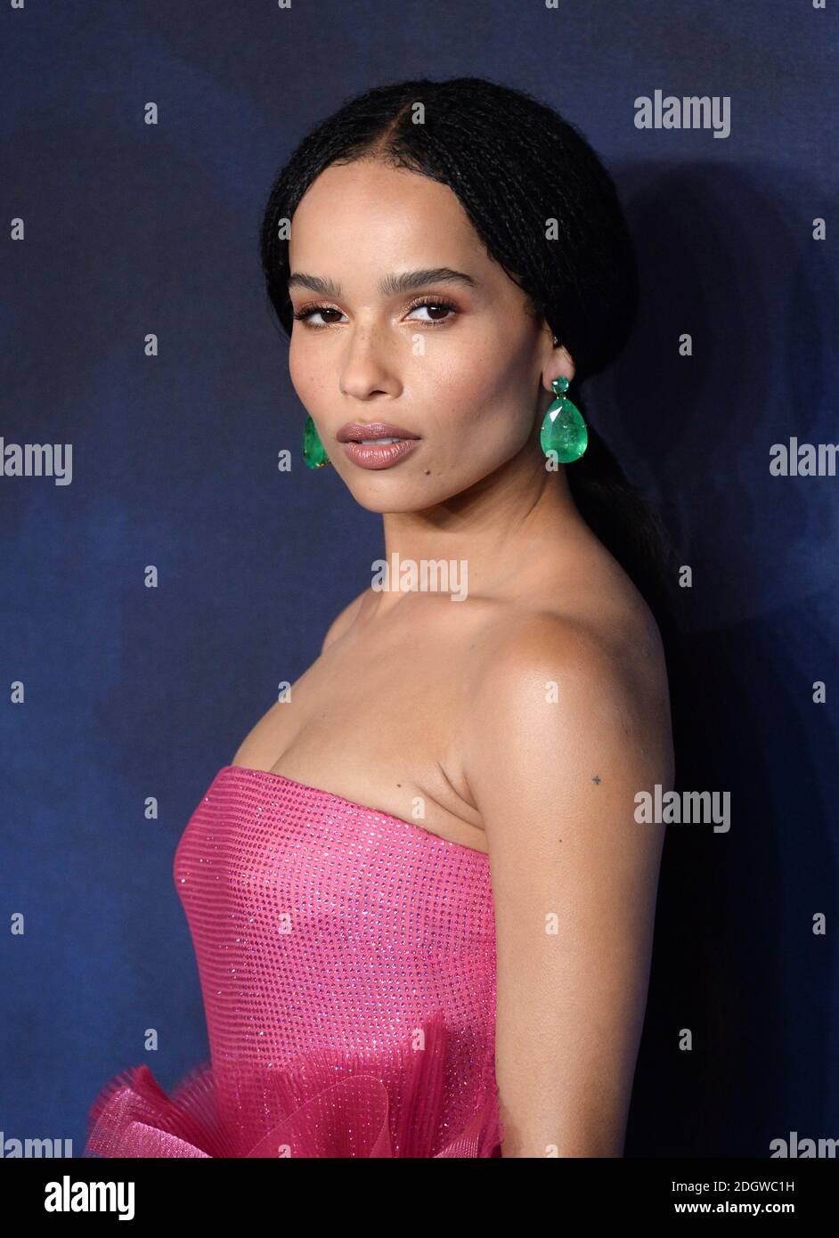 Zoe Kravitz attending the Fantastic Beasts: The Crimes of Grindelwald UK premiere held at Leicester Square, London. Photo credit should read: Doug Peters/EMPICS Stock Photo