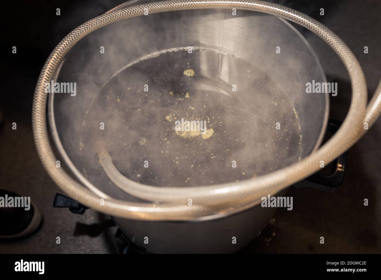 The fresh wort in big stainless steel keg during process of brewing beer at home in garage Stock