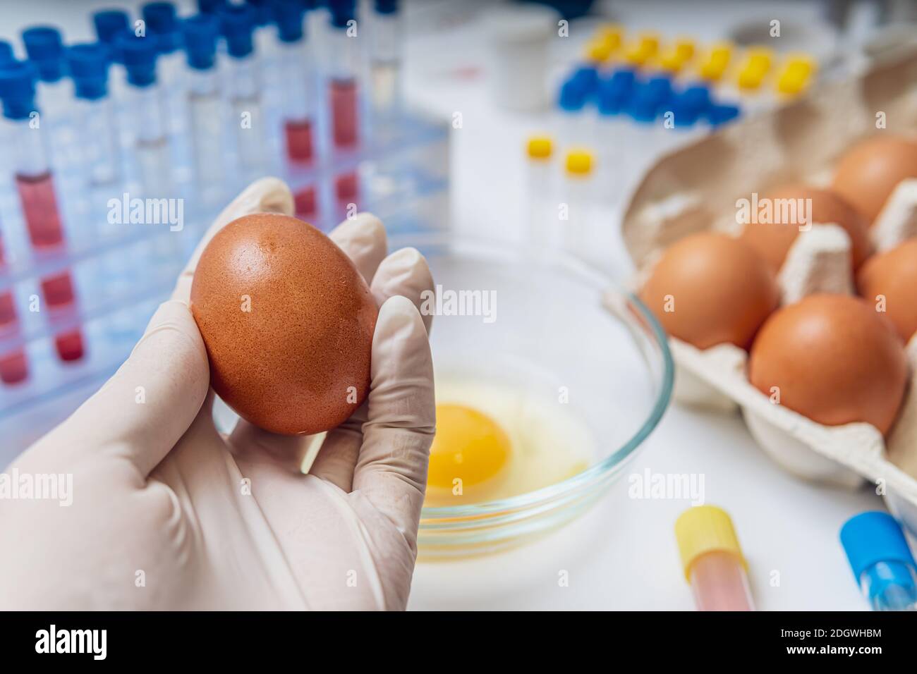 Scientist is holding egg in hand in laboratory. Food testing concept. Stock Photo