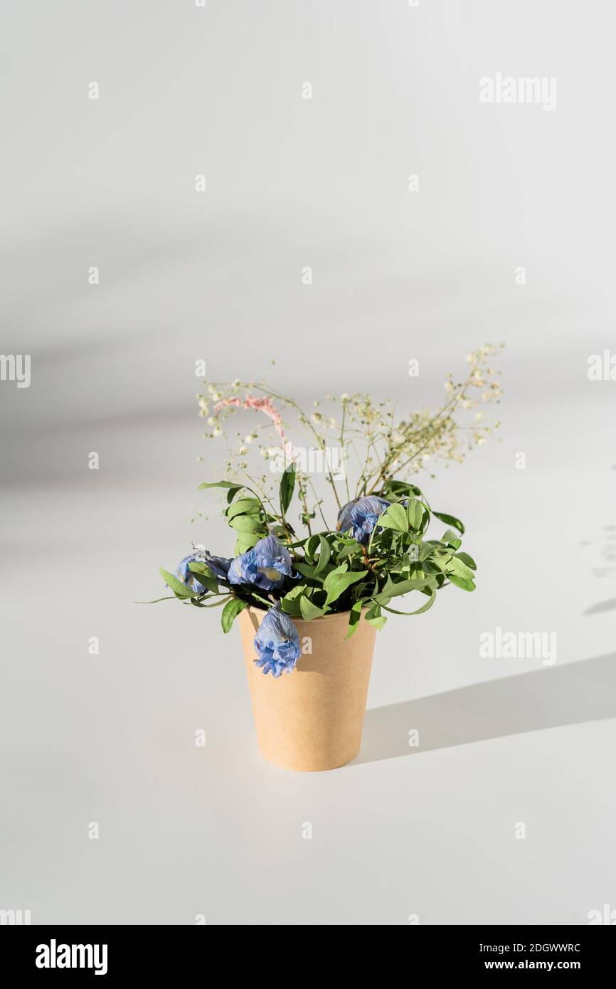 Dry flowers bouquet in craft paper cup on white background with