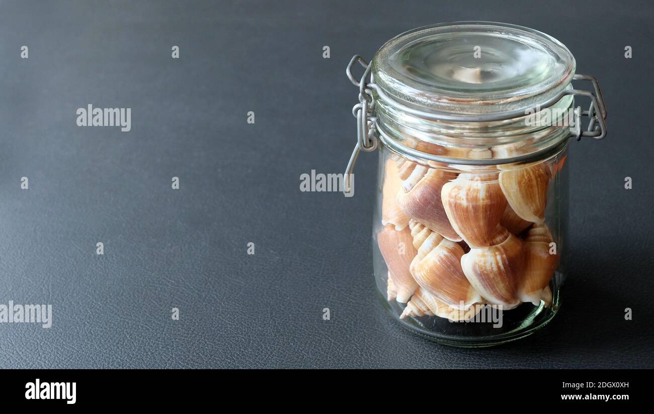 A glass jar full of the shell of dog conch, a species of edible sea snail, with the jar lid closed. Stock Photo