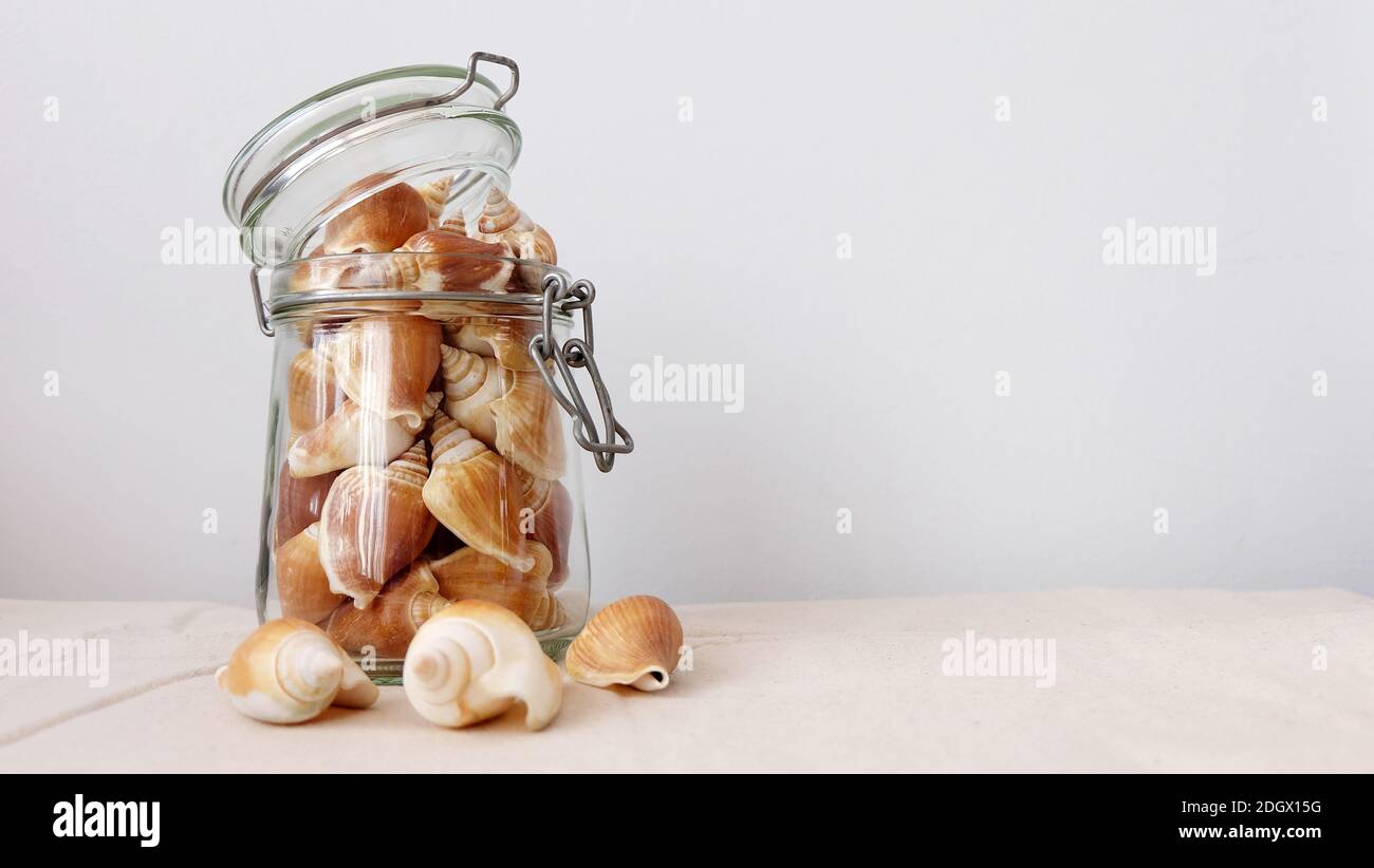 A glass jar full of the shell of dog conch, a species of edible sea snail. Stock Photo