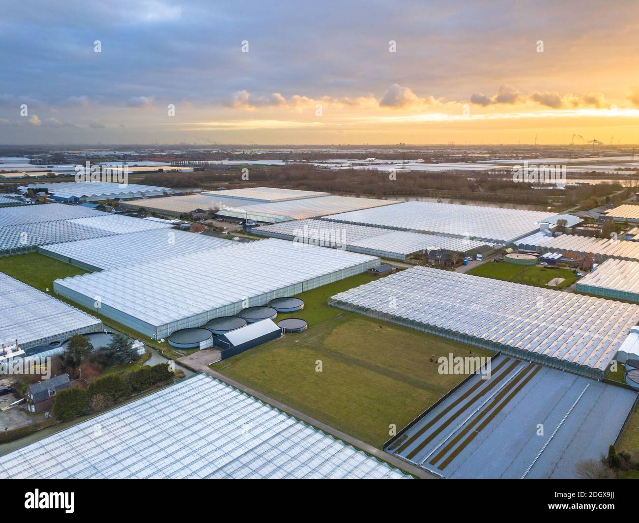 Aerial view of Westland or glass city Greenhouse horticulture area in