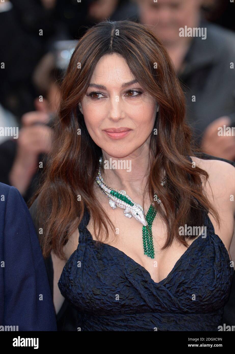 Monica Bellucci attending the The Best Years of a Life Premiere during the 72nd Cannes Film Festival, Festival des Palais. Photo credit should read: Doug Peters/EMPICS Stock Photo