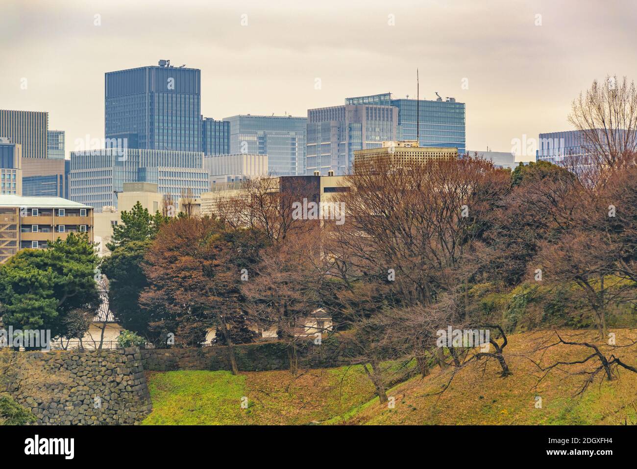 Tokyo sky tree cityscape hi-res stock photography and images - Alamy