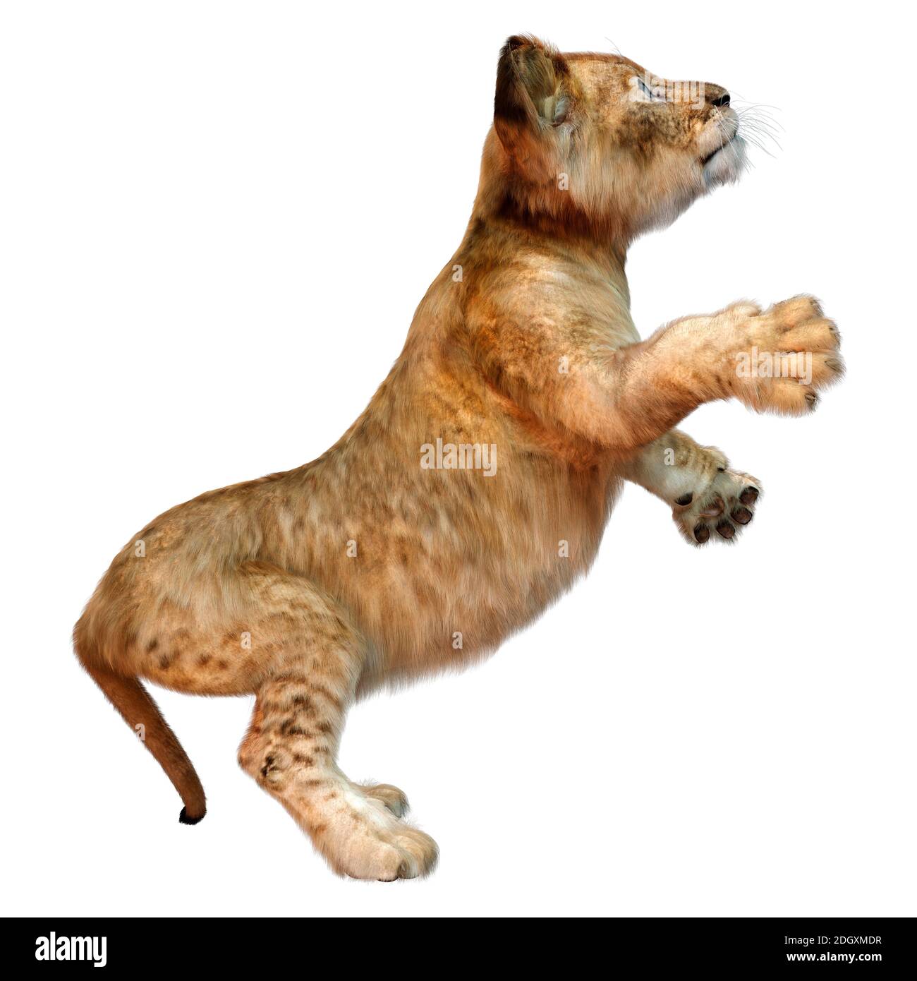 3D rendering of a cute lion cub isolated on white background Stock Photo