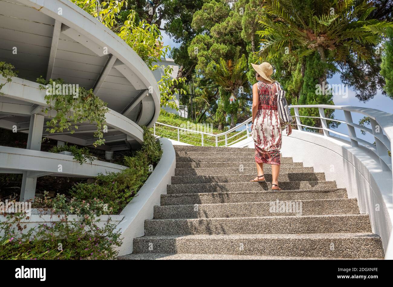 Stairs woman rear view hi-res stock photography and images - Alamy