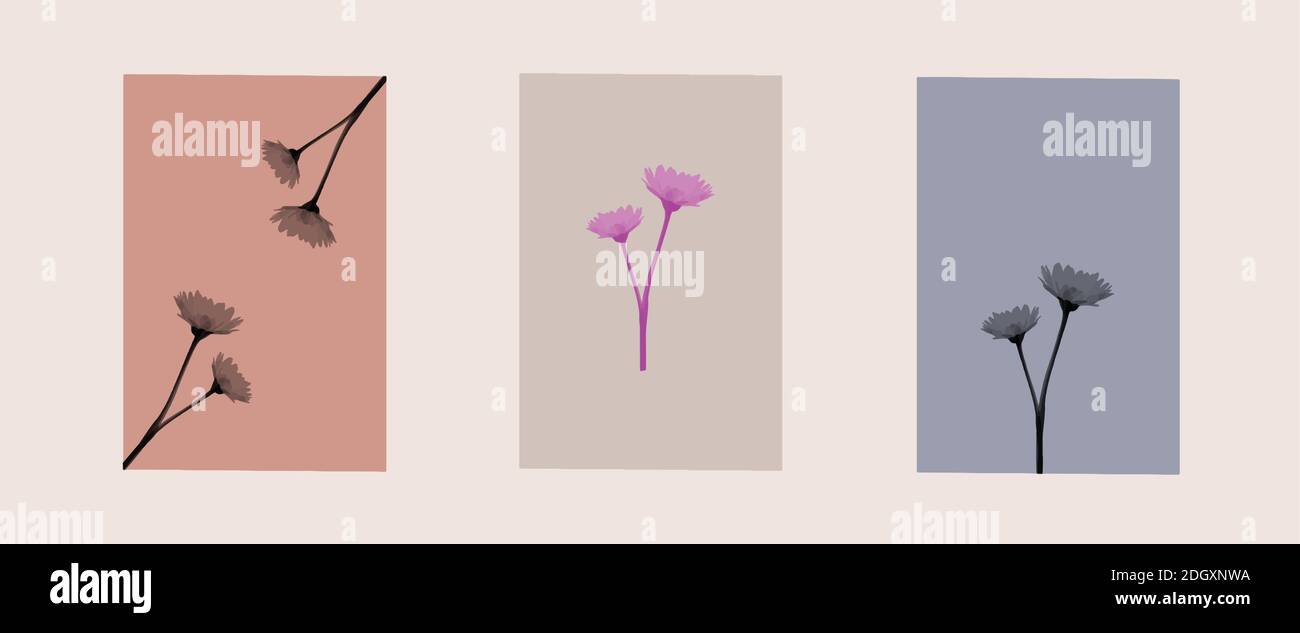 symbol logo design botanical card wedding template Stock Vector