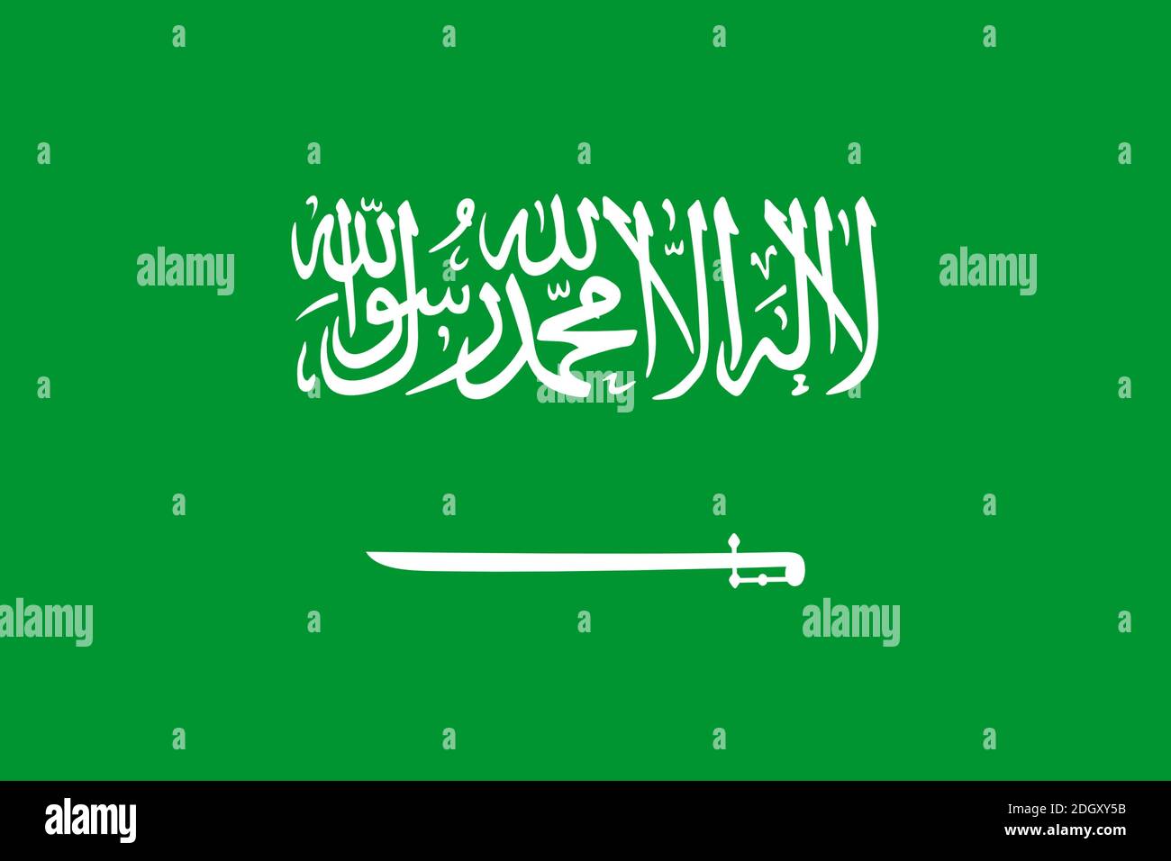 Flagge von Saudi Arabien, Arabische Halbinsel, Vorderasien Stock Photo