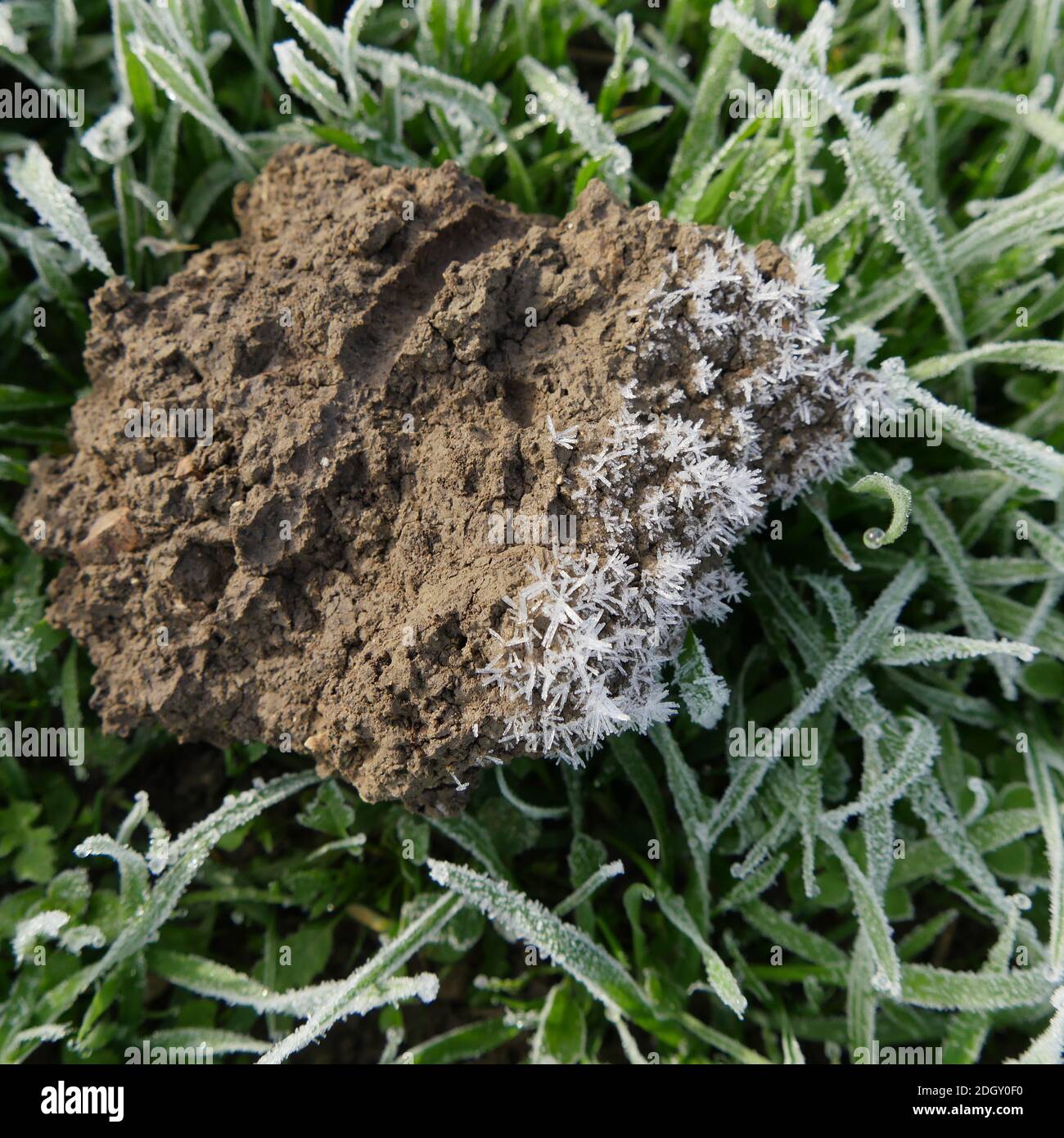 Clods of earth hi-res stock photography and images - Alamy