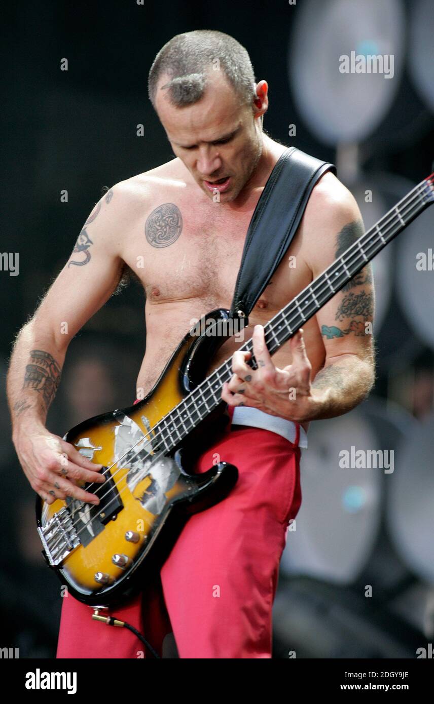 Red hot chili peppers live hi-res stock photography and