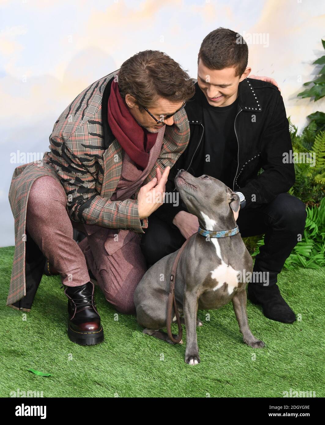 Robert Downey Jr, Tom Holland and his dog Tessa attending the Dolittle premiere, Leicester Square, London. Photo credit should read: Doug Peters/EMPICS Stock Photo