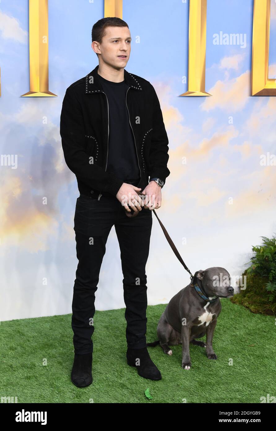 Tom Holland And His Dog Tessa Attending The Dolittle Premiere 