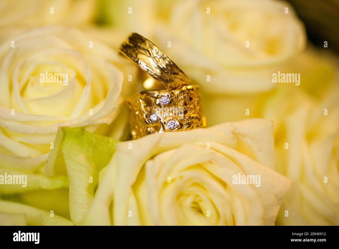 Wedding rings on white roses background Stock Photo