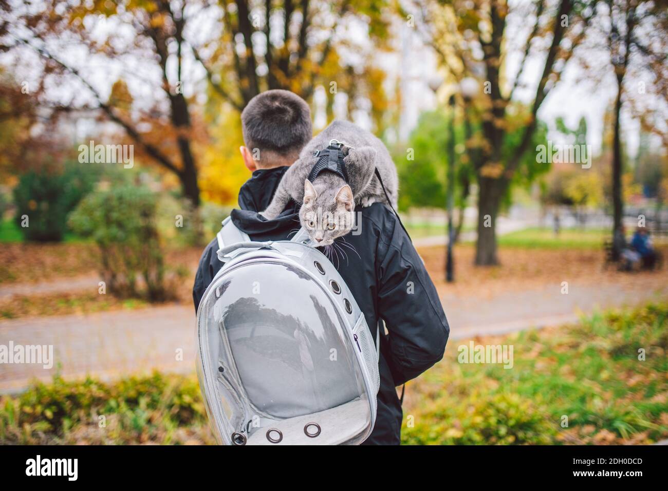 Topi hat hi-res stock photography and 