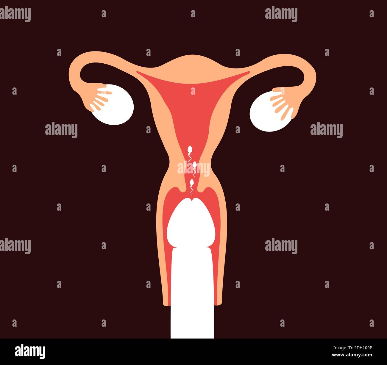 Rus porno Maxachkala