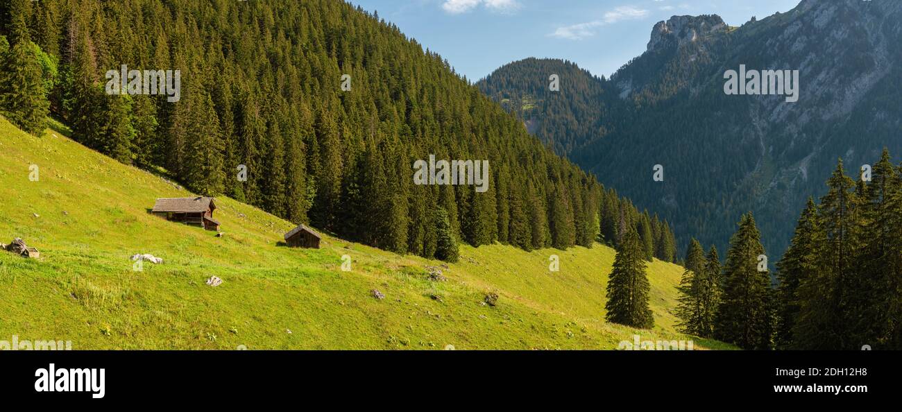 A farm in the Swiss field and a view on Rocher Plat, Switzerland Stock Photo