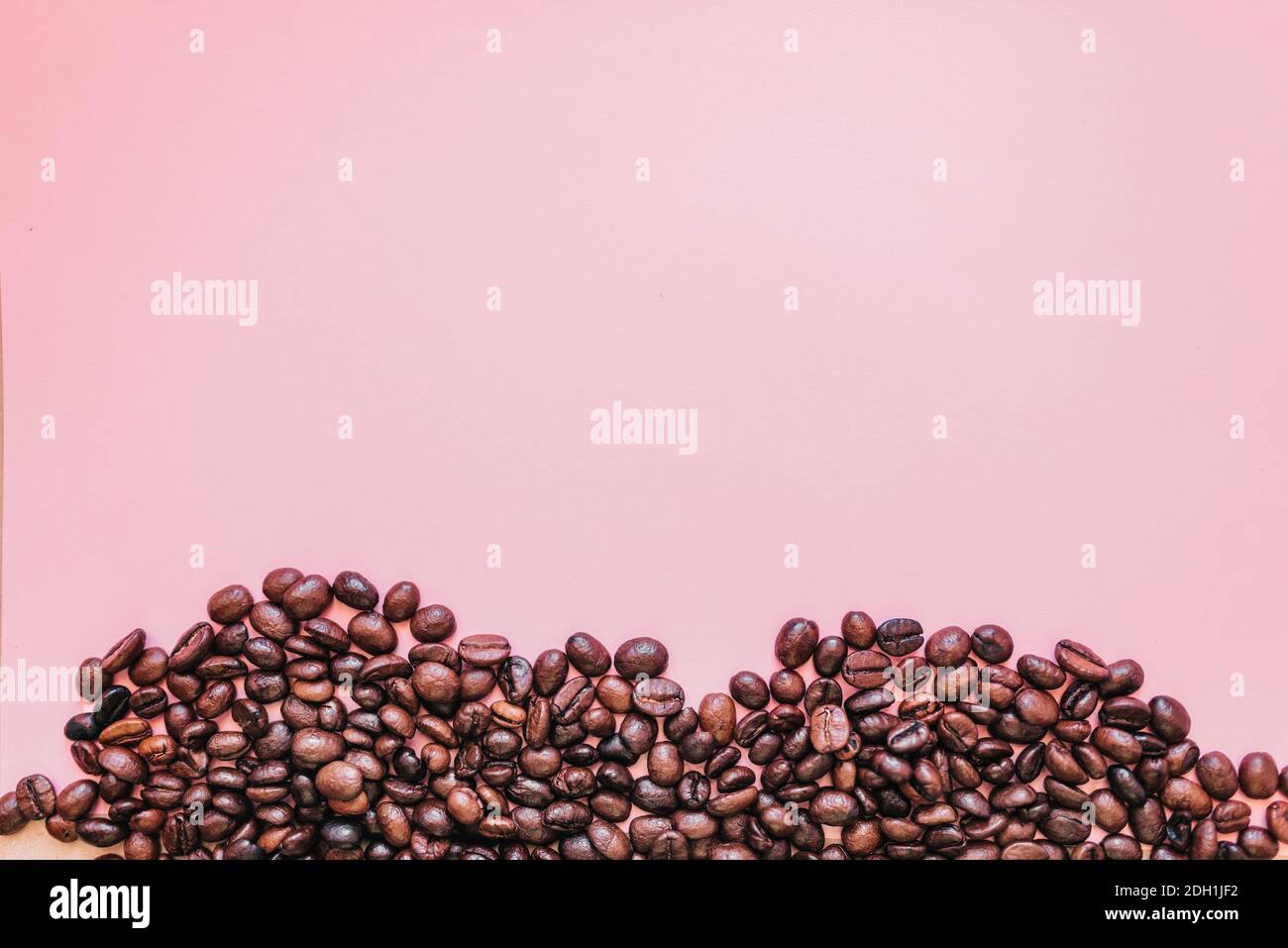 Coffee beans on simple pink background Stock Photo