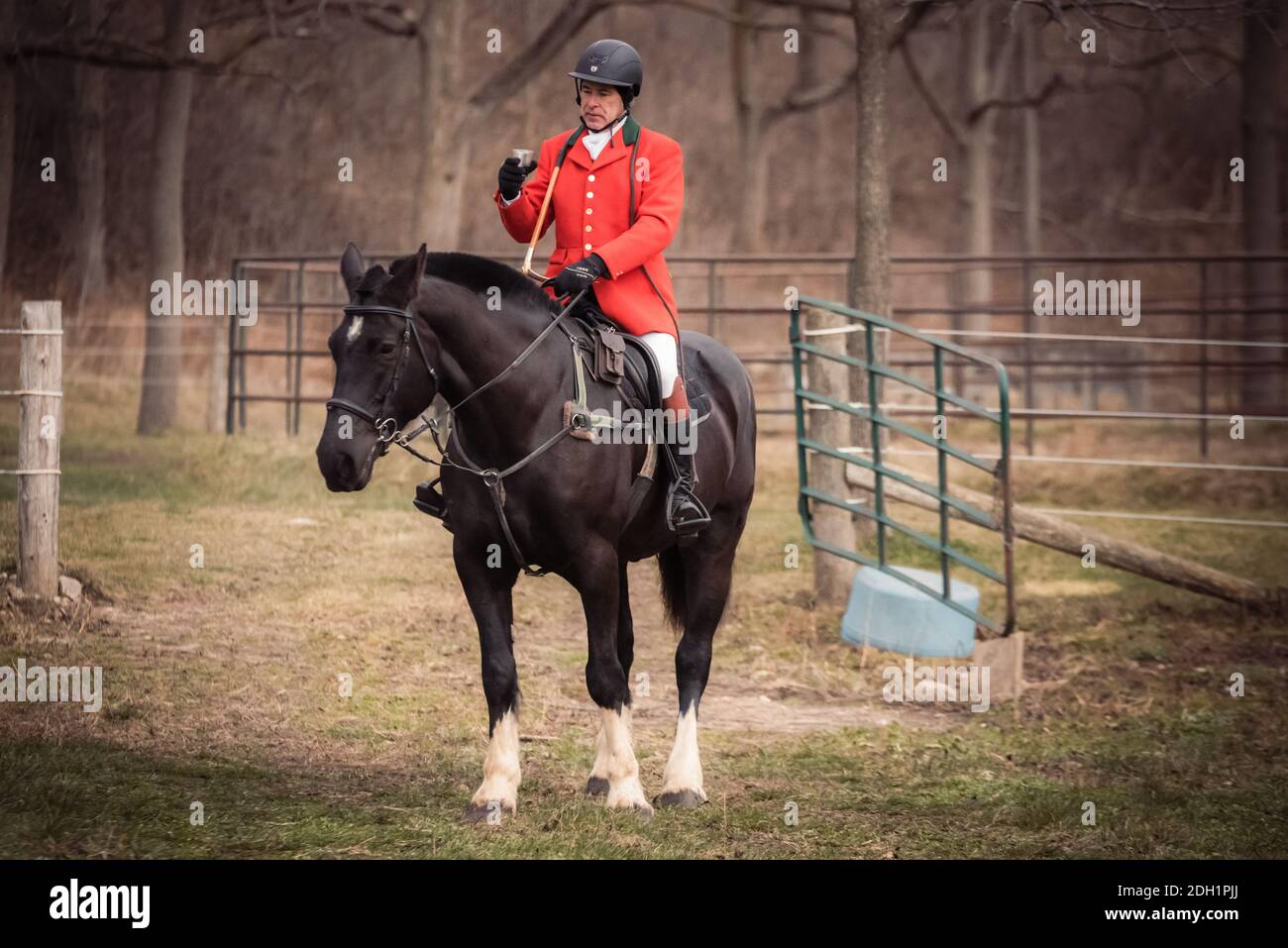 Hamilton Hunt Fox hounds and hunting scenes Stock Photo Alamy