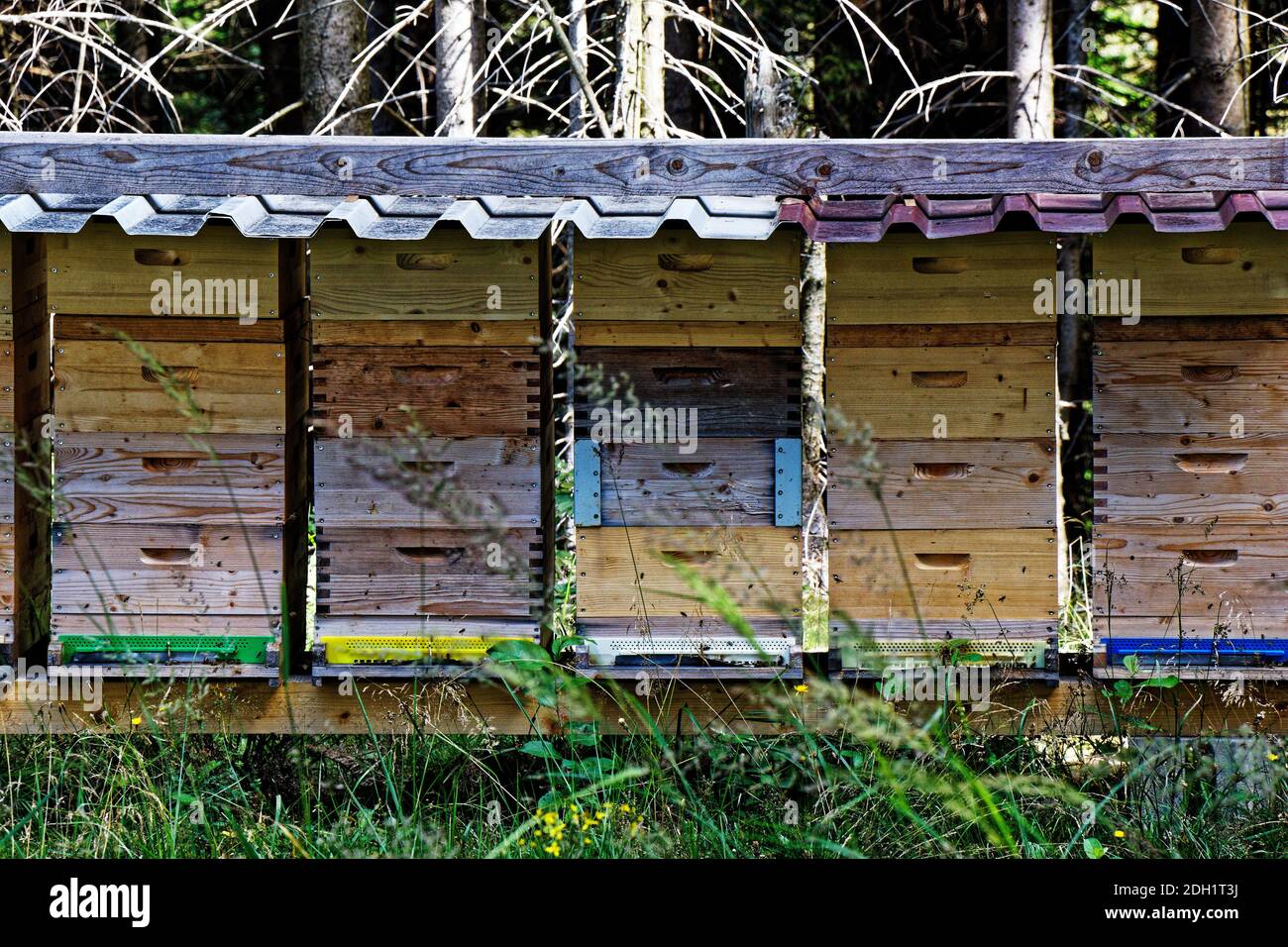 Bee Hives In A Row High Resolution Stock Photography and Images - Alamy