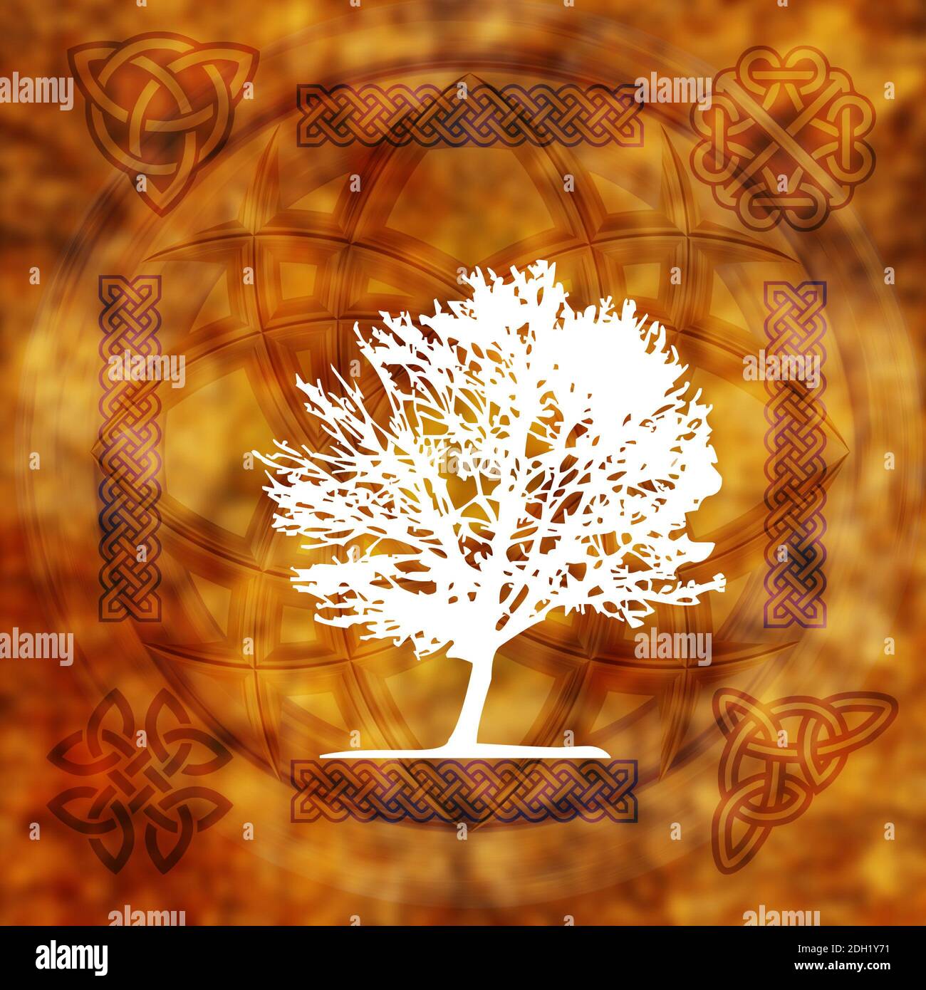 tree of life and Celtic symbols Stock Photo