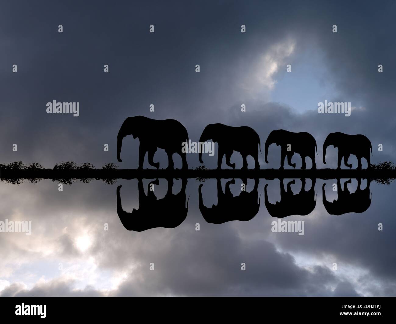 Elefantenfamilie spiegelt sich im Wasser bei einer Gewitterstimmung, Loxodonta africana, Stock Photo