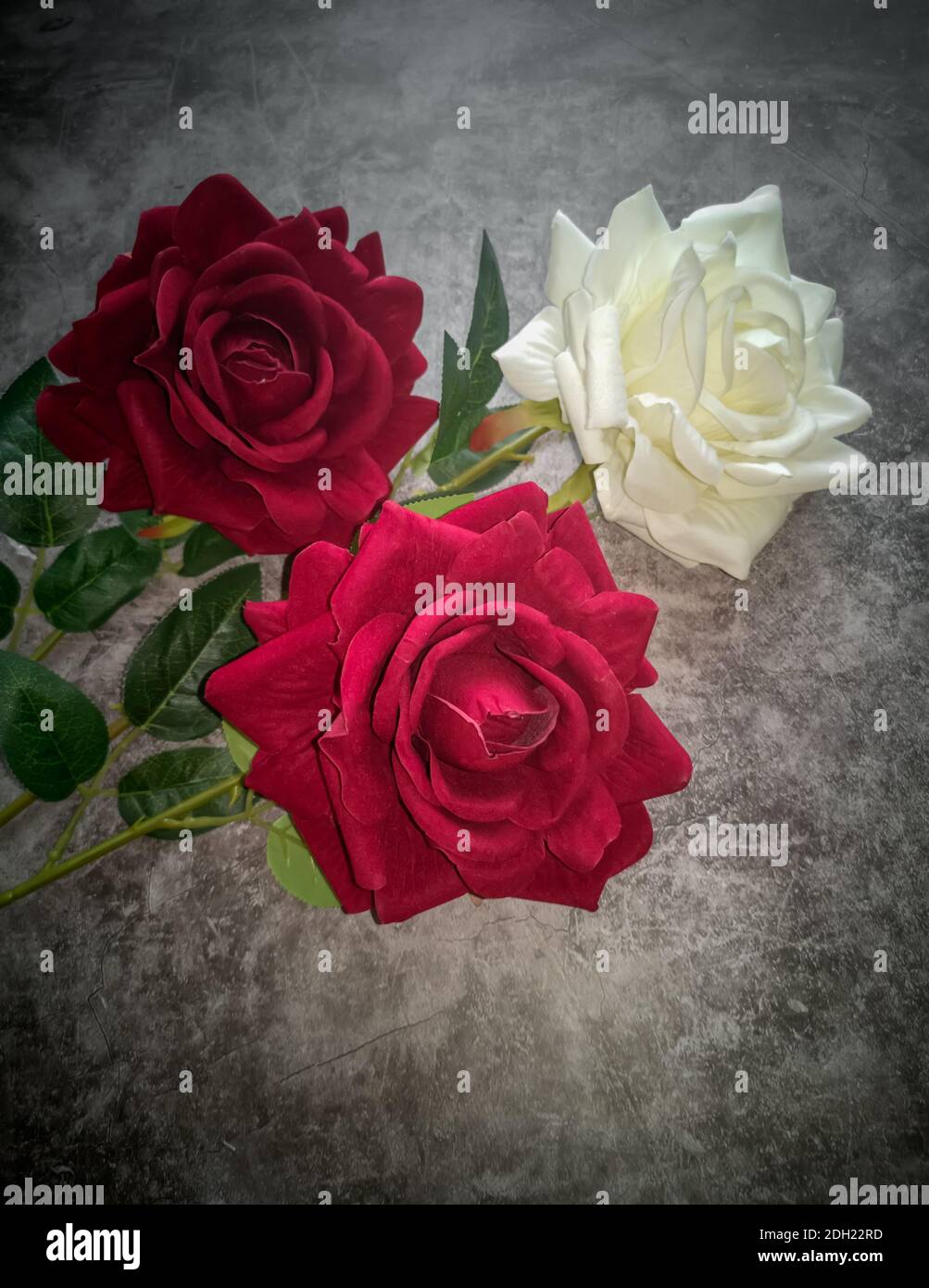 Artificial flowers: three roses on a dark background Stock Photo