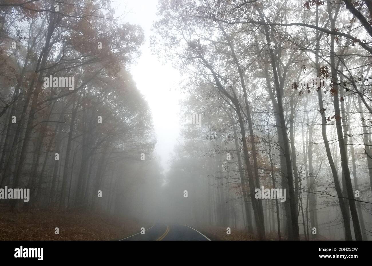 Fog shenandoah foggy road hi-res stock photography and images - Alamy