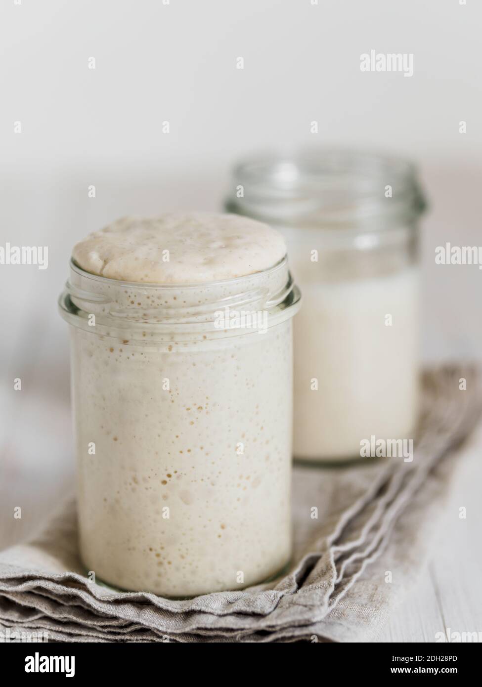 Wheat sourdough starter different hydration levels Stock Photo Alamy