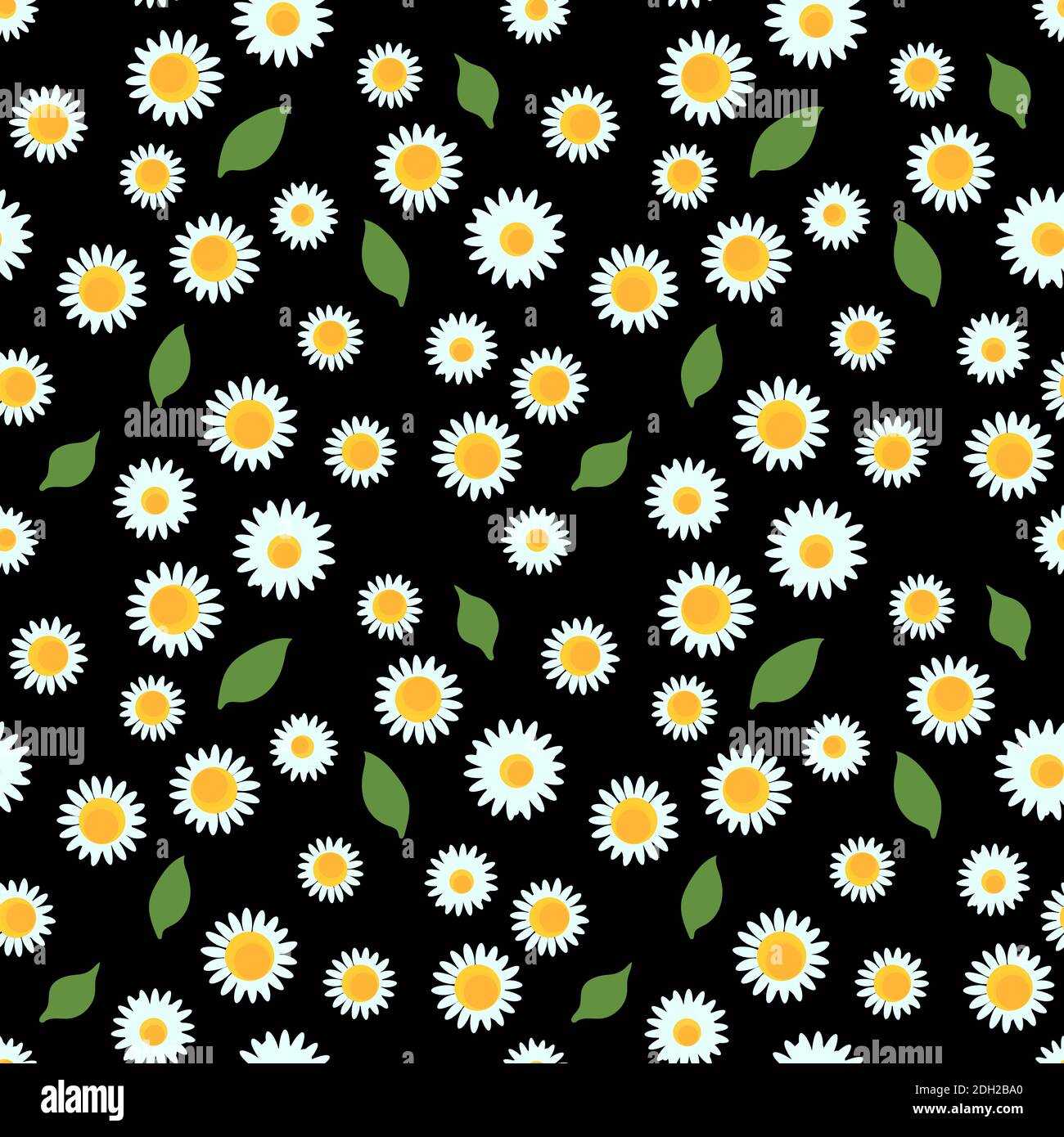 Chamomile flowers with leaf seamless pattern on black background ...