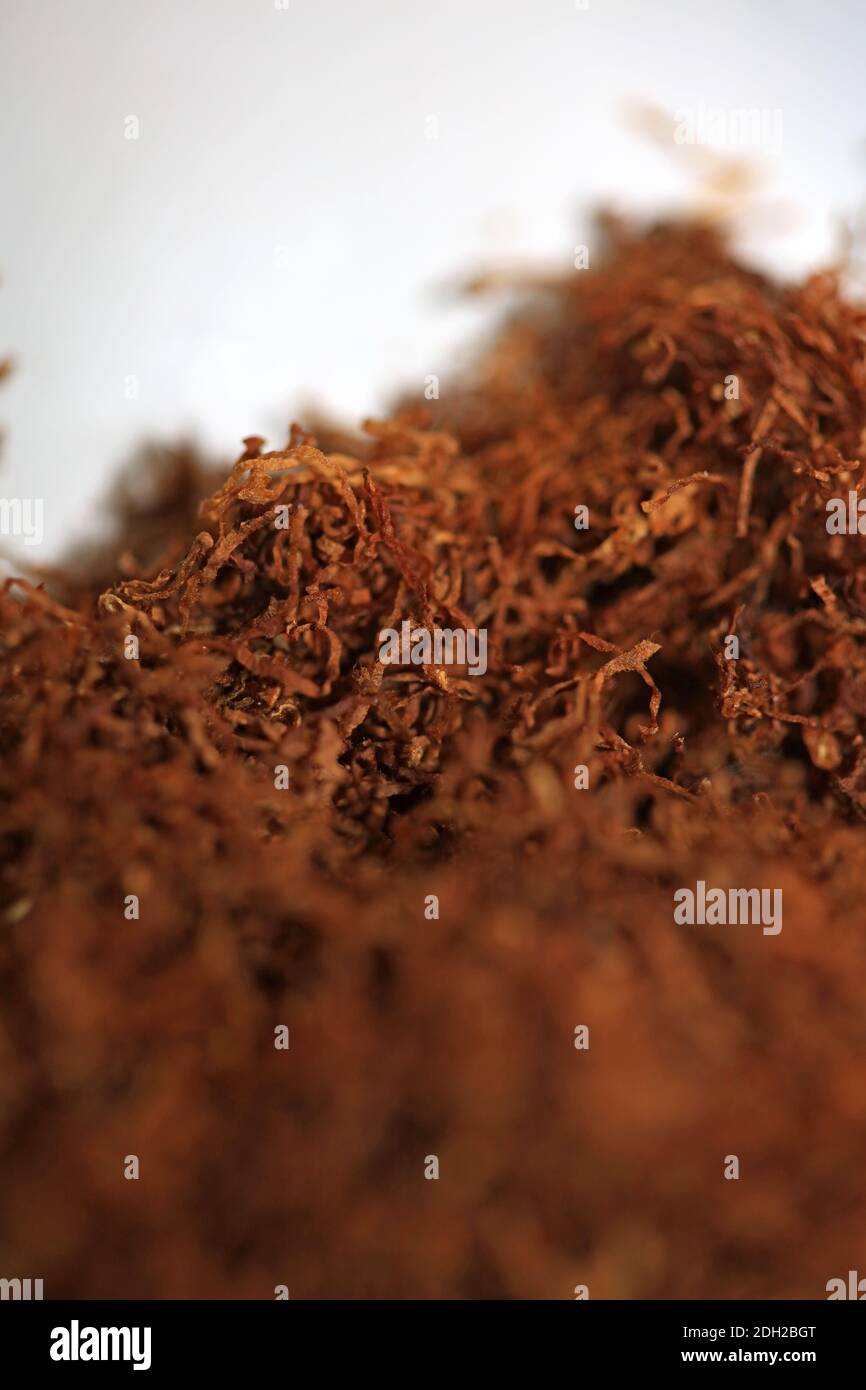 Rolling tobacco dry leaves macro background stock photography high quality print Stock Photo