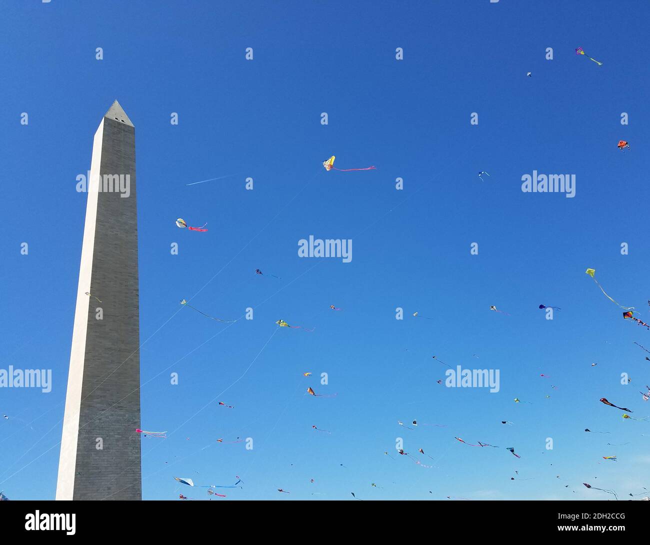 Kites flying against a blue sky at the National Mall in Washington, DC during the annual Cherry