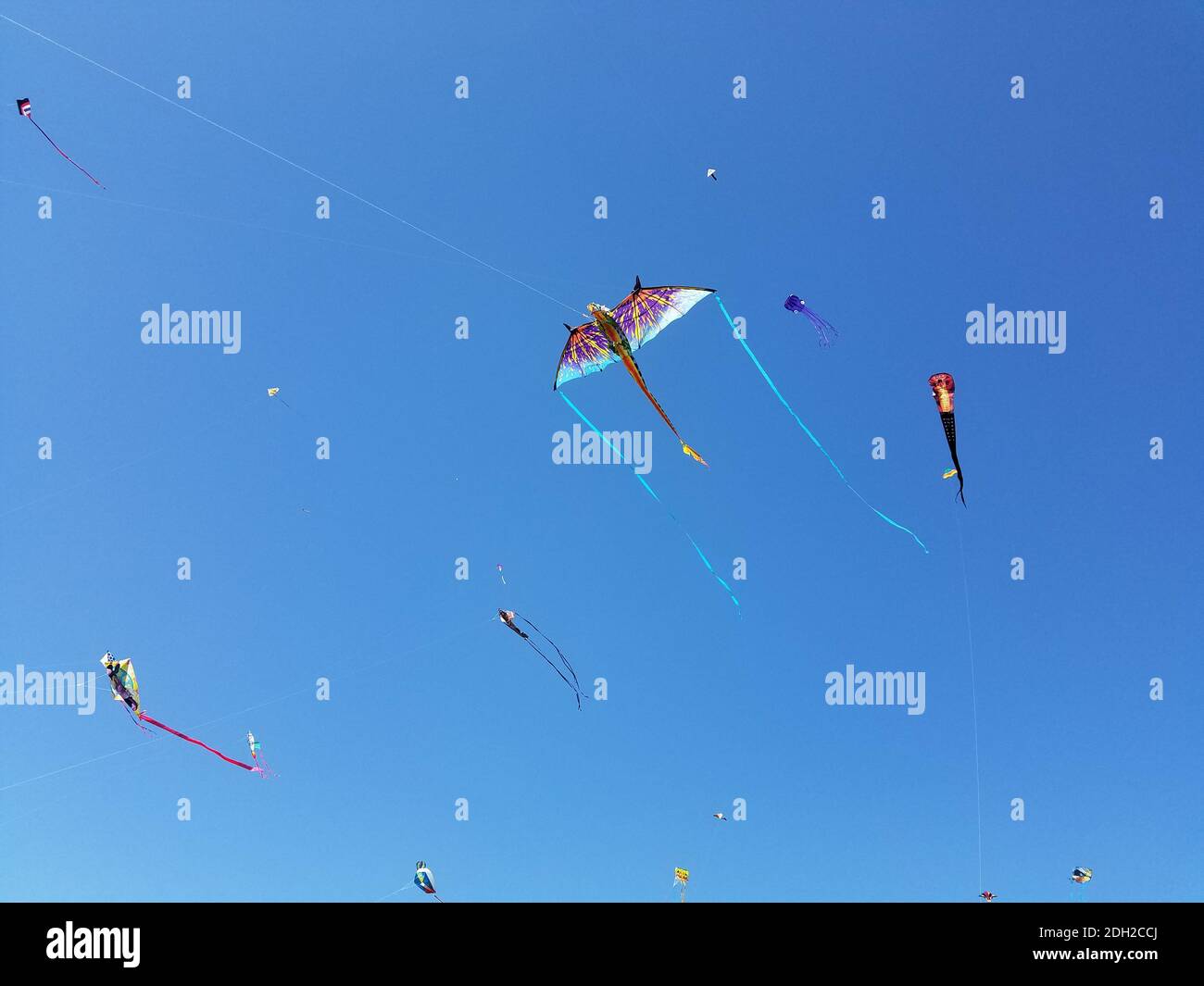 Kites flying against a blue sky at the National Mall in Washington, DC during the annual Cherry