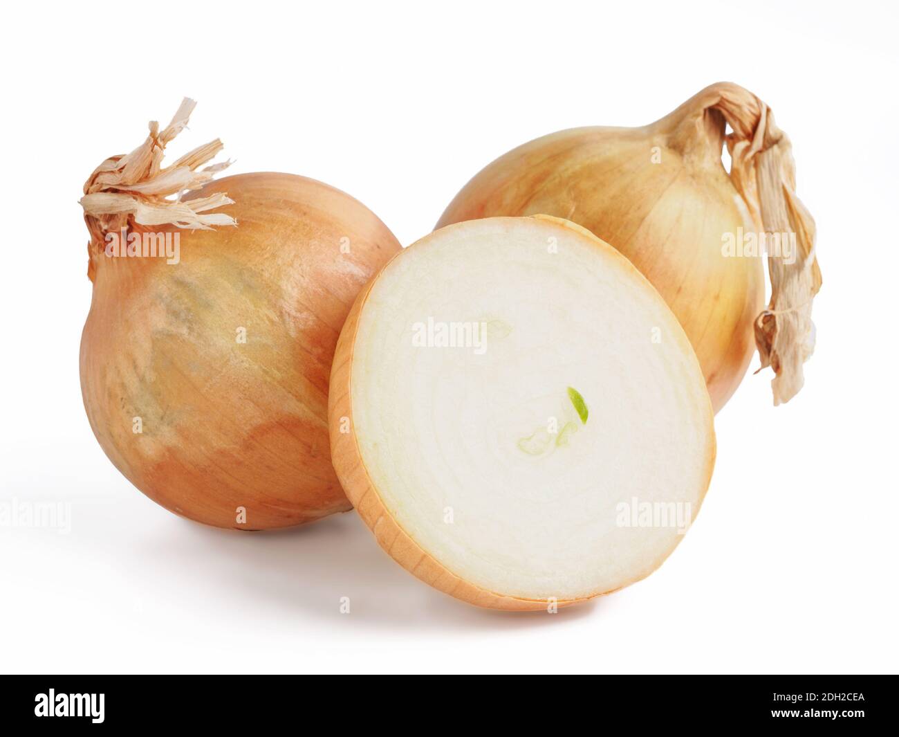 Onion isolated on white Stock Photo