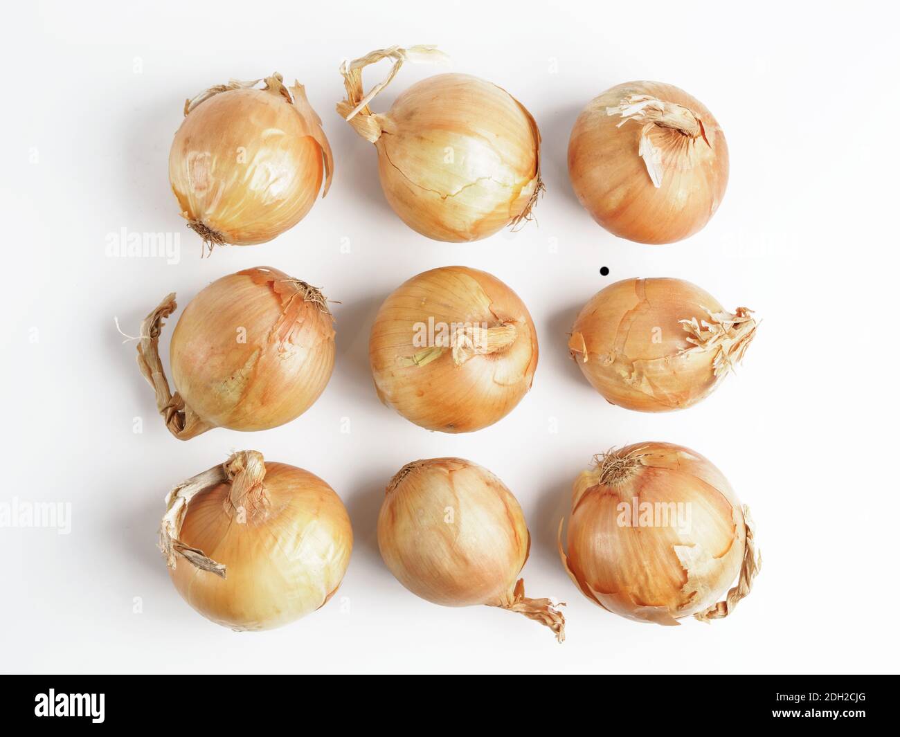 Onion seamless pattern isolated on white Stock Photo