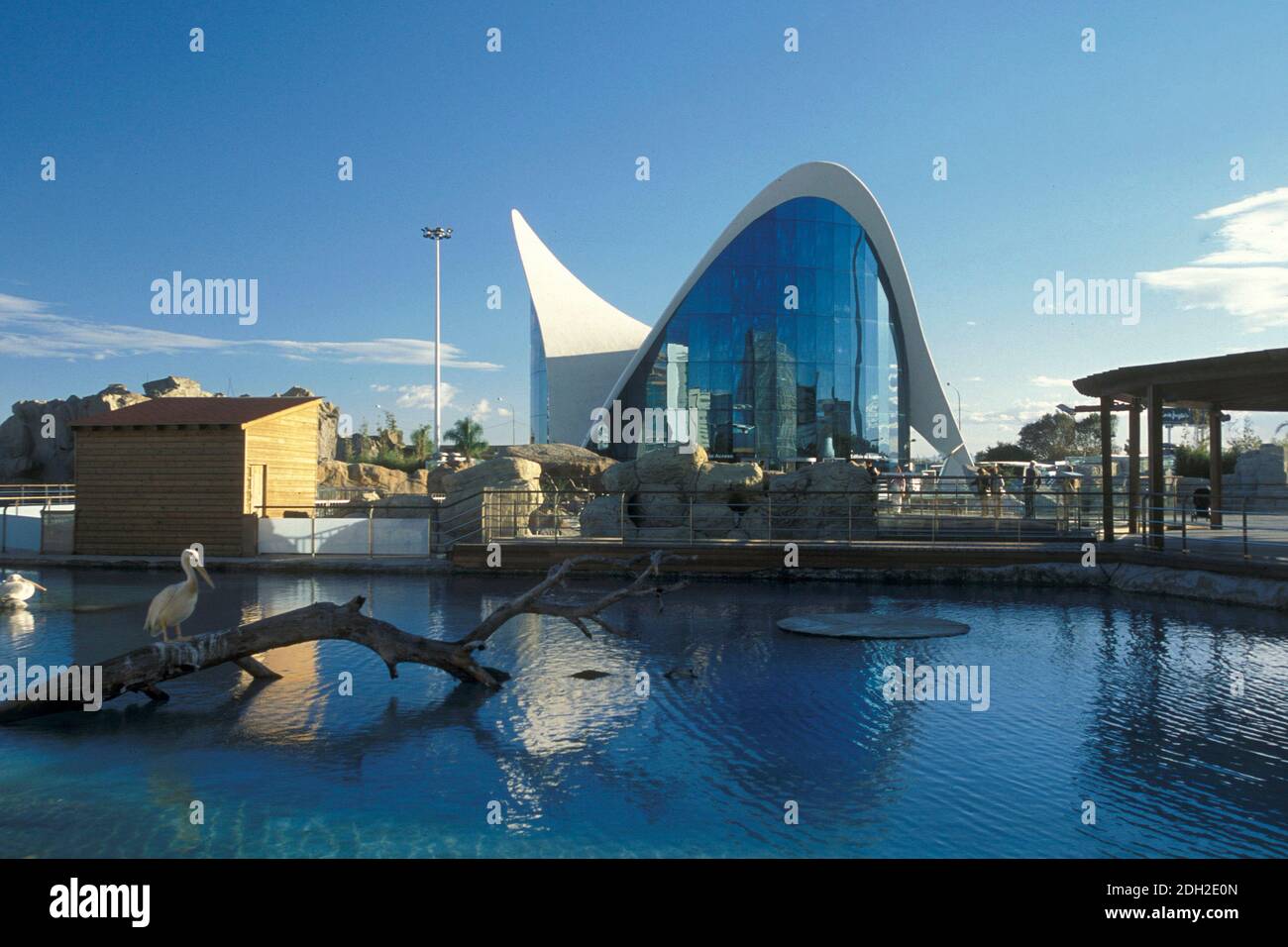 the architecture of the Aquarium of l Oceanografic at the City of Arts and Sciences in the city of Valencia in Spain.  Spain, Valencia, October, 2004 Stock Photo