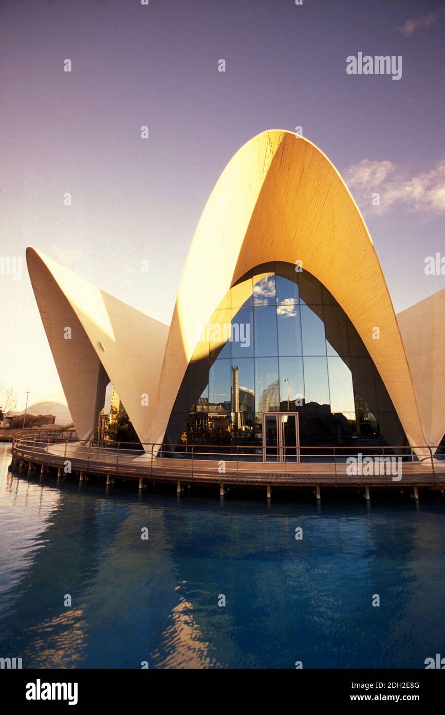 the architecture of the Aquarium of l Oceanografic at the City of Arts and Sciences in the city of Valencia in Spain.  Spain, Valencia, October, 2004 Stock Photo