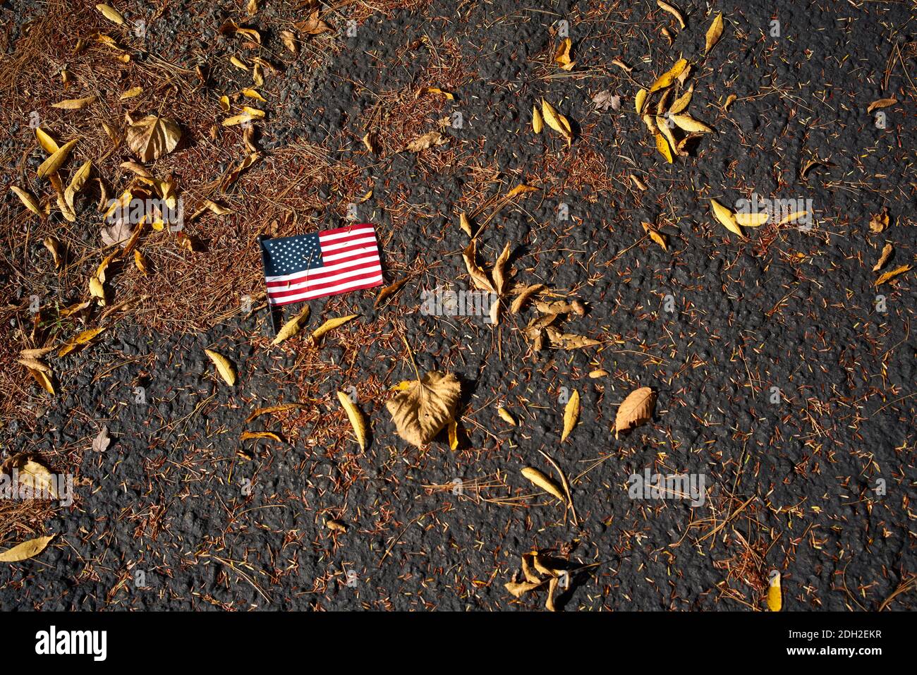 Lost American flag fallen on pavement in-between leafs Stock Photo