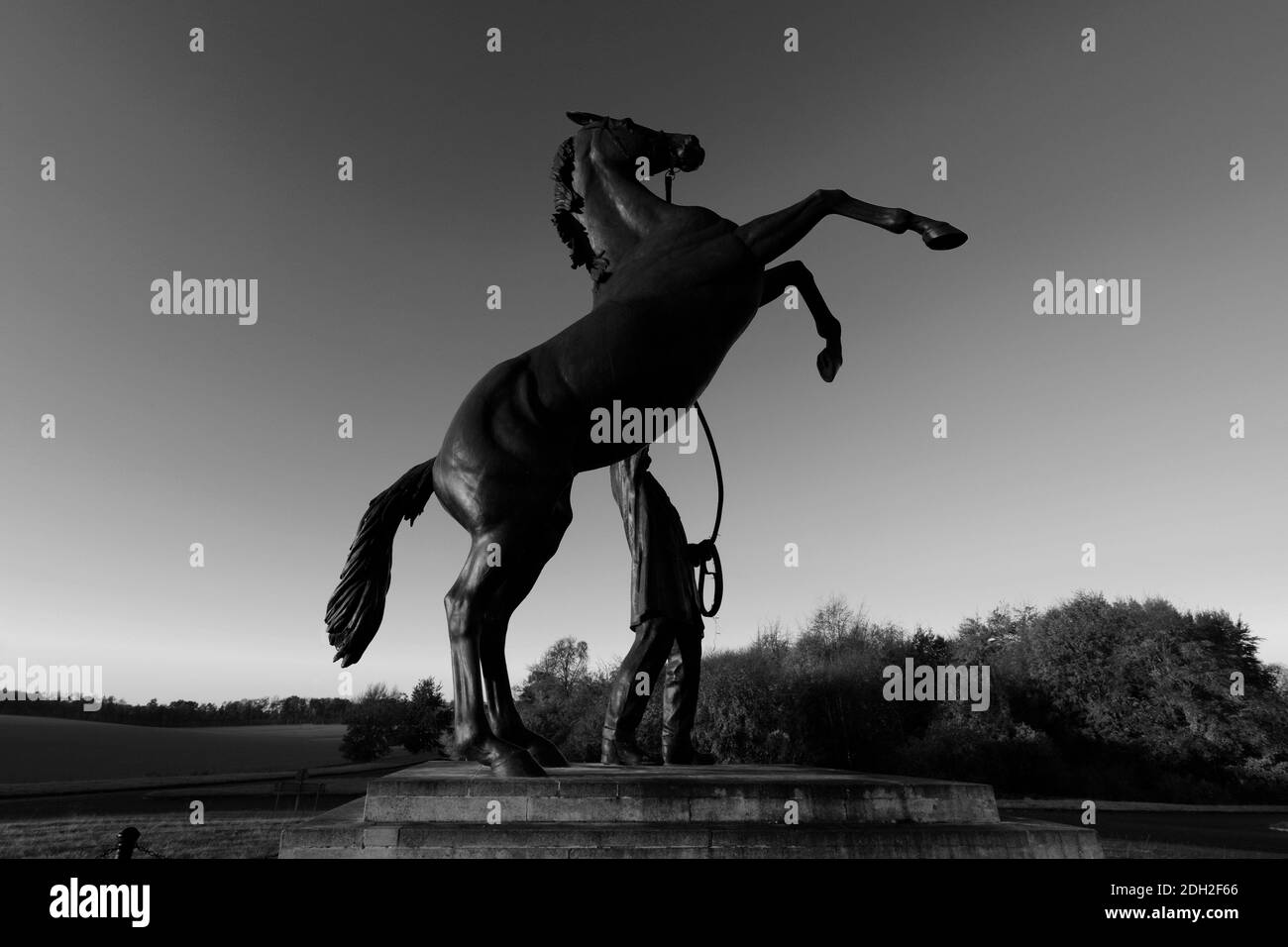 Sunrise over the Newmarket Stallion statue by Marcia Astor and Allan Sly, at Newmarket racecourse, Suffolk, England, UK Stock Photo