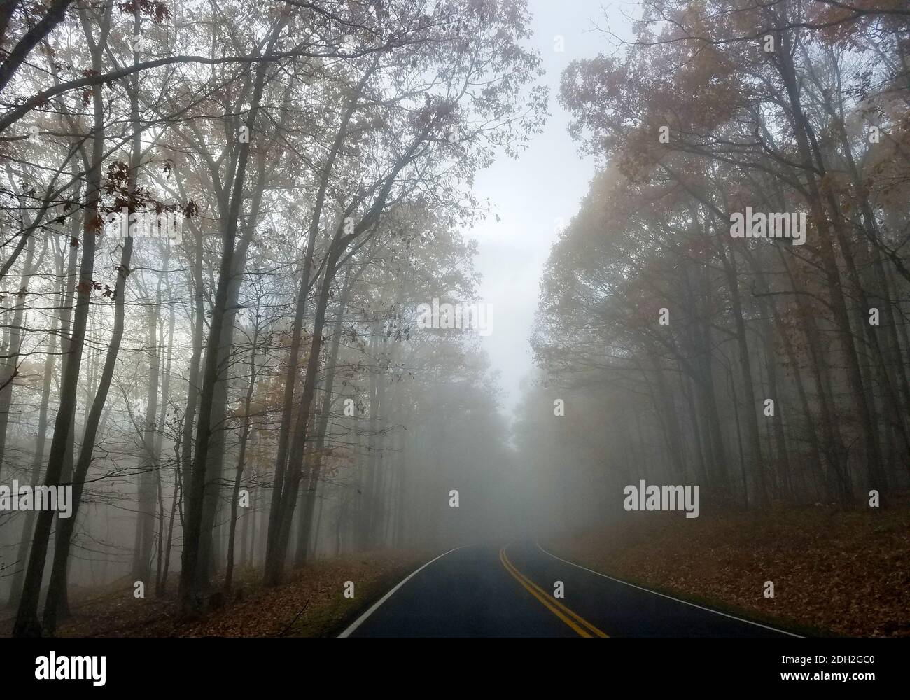 Fog shenandoah foggy road hi-res stock photography and images - Alamy