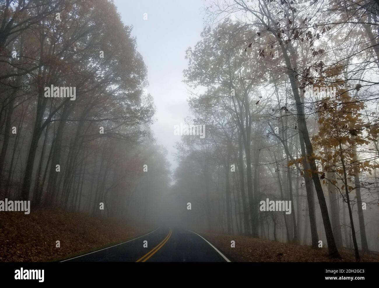 Fog shenandoah foggy road hi-res stock photography and images - Alamy