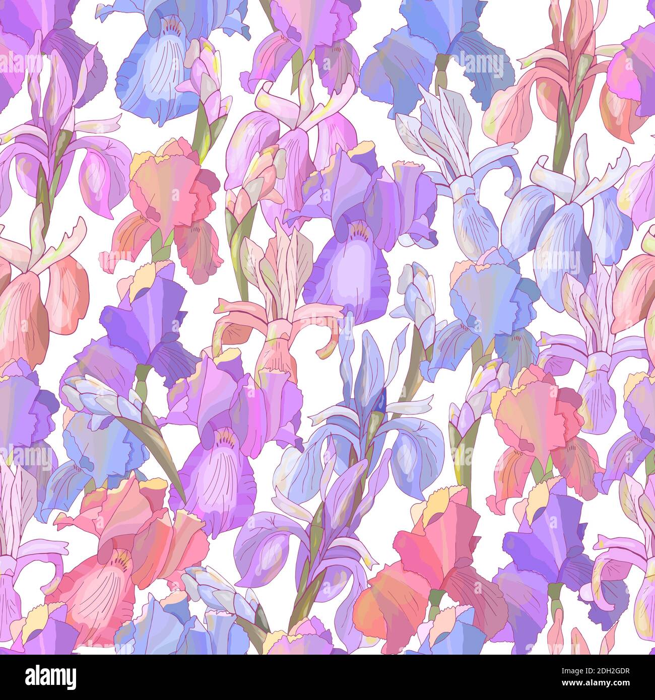 Romantic floral seamless pattern with irises on white. Stock Vector