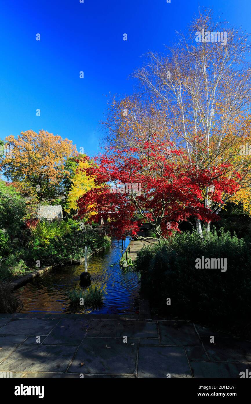 Autumn colours in the Water garden, Abbey gardens, Bury St Edmunds City, Suffolk County, England