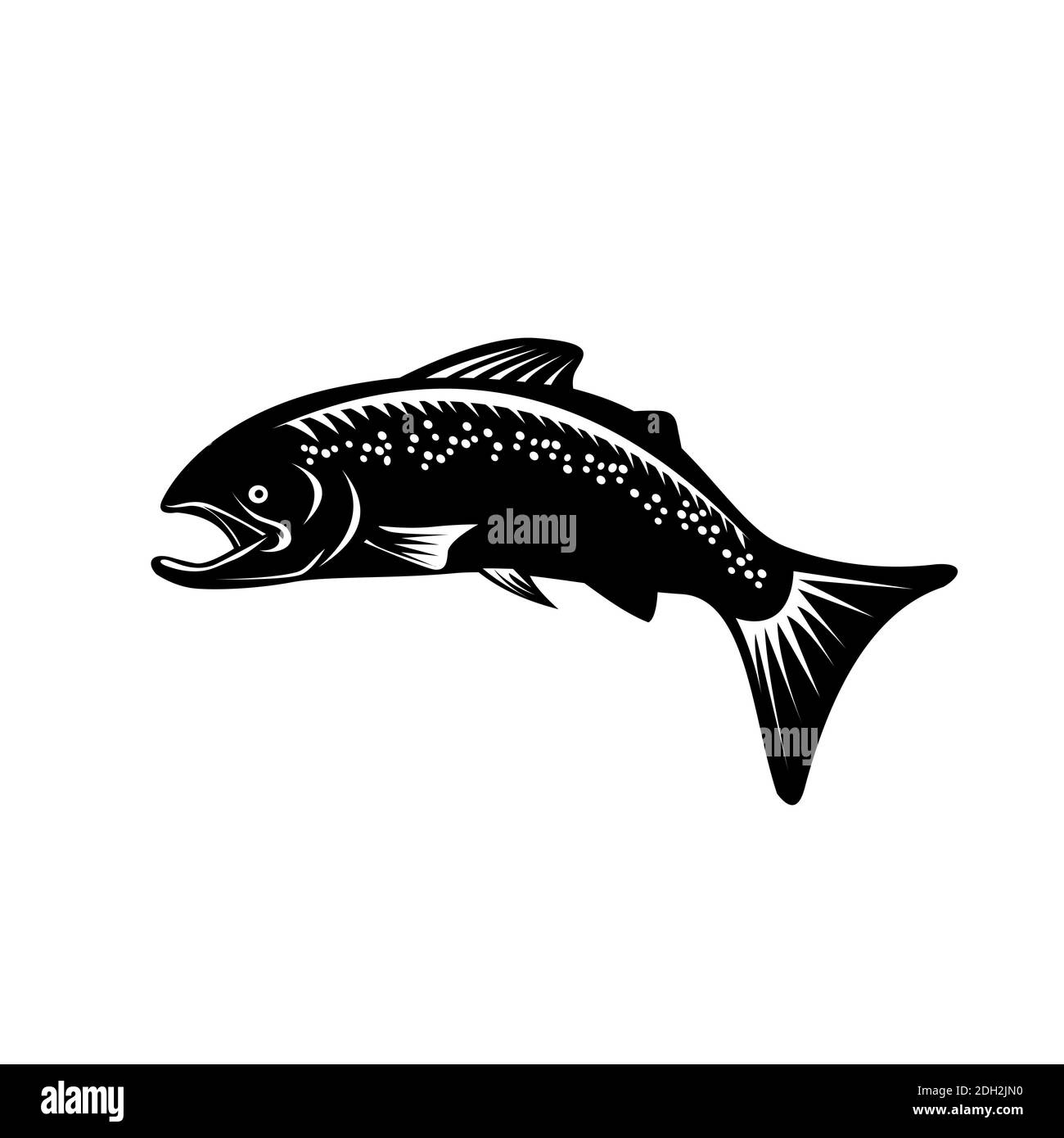 Spotted trout Black and White Stock Photos & Images Alamy